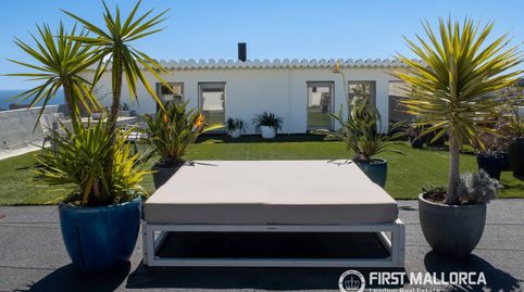 Foto 4 de Loft en venta en Génova, Palma de Mallorca