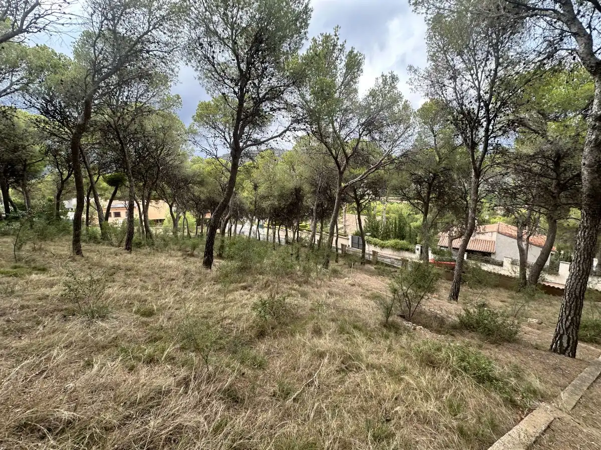 Wohnbaugrundstück zum Verkauf in Torres Torres, imagen 43