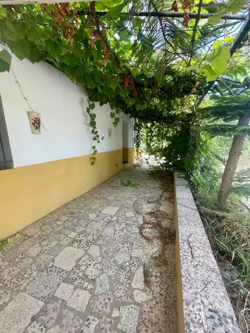 Terreni e lotti in vendita a Arcos de la Frontera, imagen 15