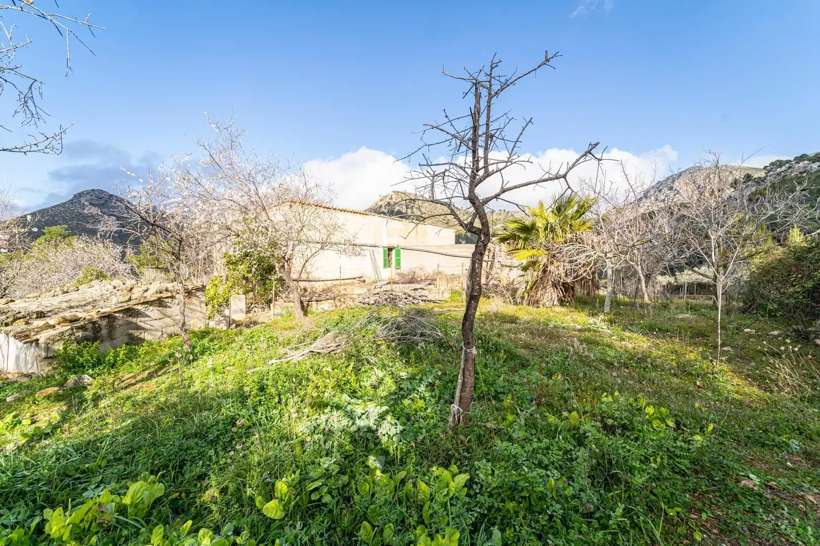 Casa con jardín en venta en Andratx pueblo, imagen 10