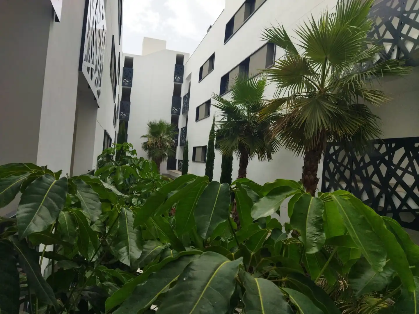 Vista exterior de Apartament de lloguer en Estepona amb Aire condicionat, Terrassa i Traster