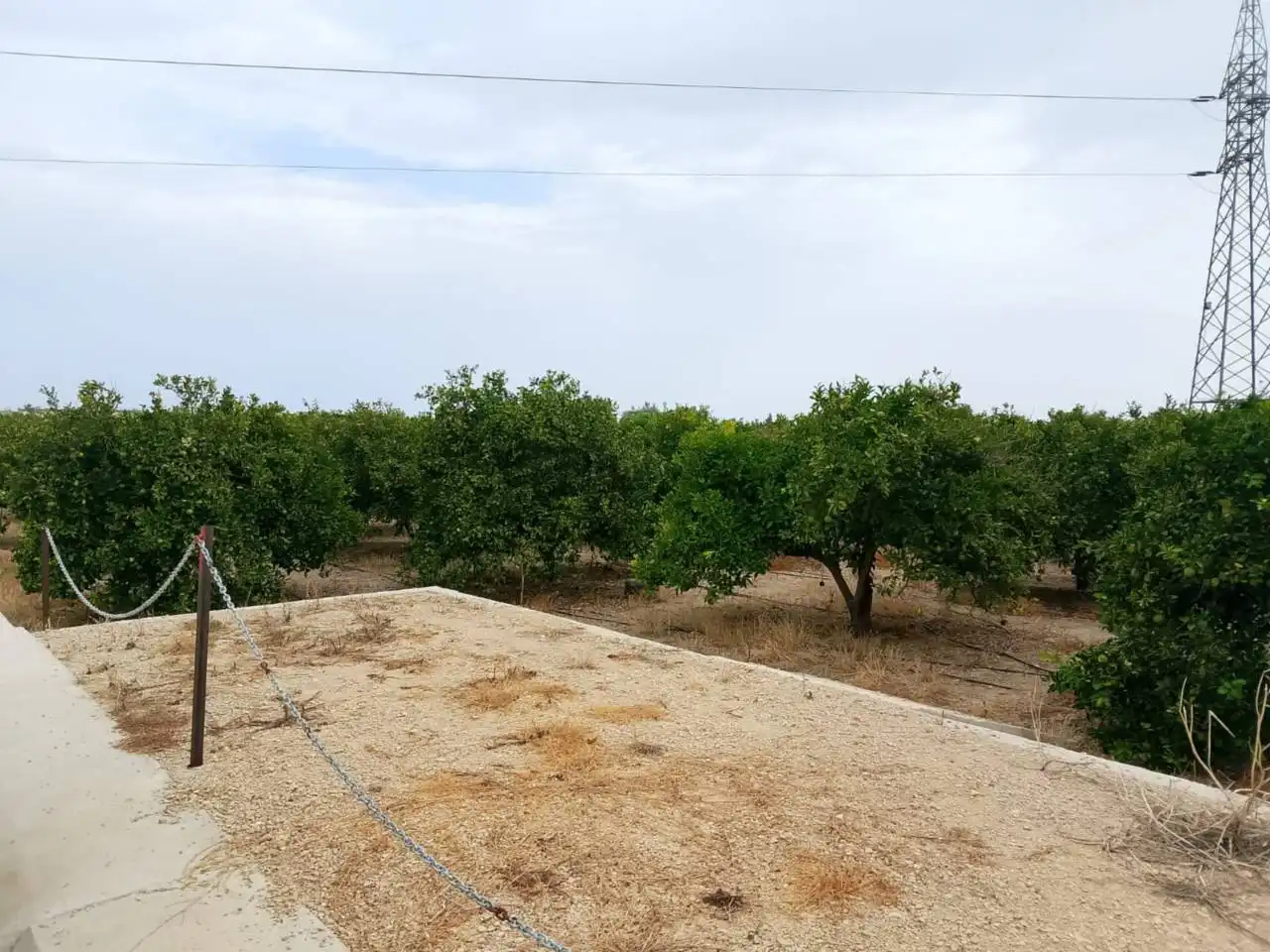 Terreny rústic en venda a Carretera Nazaret a Oliva 670, imagen 2