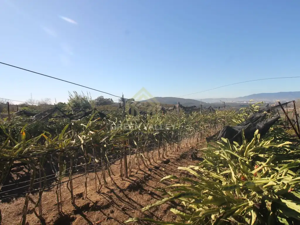 Finca rústica en venta en La Alcaidesa