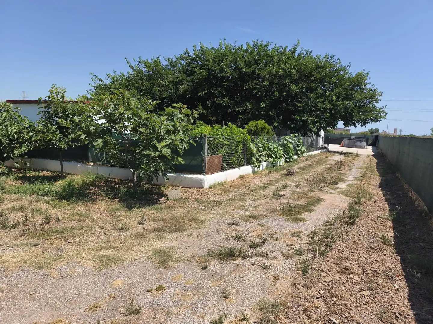 Finca rústica en venta en Foios con Aire acondicionado, Calefacción y Jardín privado