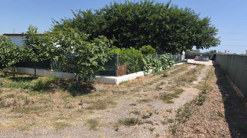 Foto 2 de Finca rústica en venta en Foios, Valencia