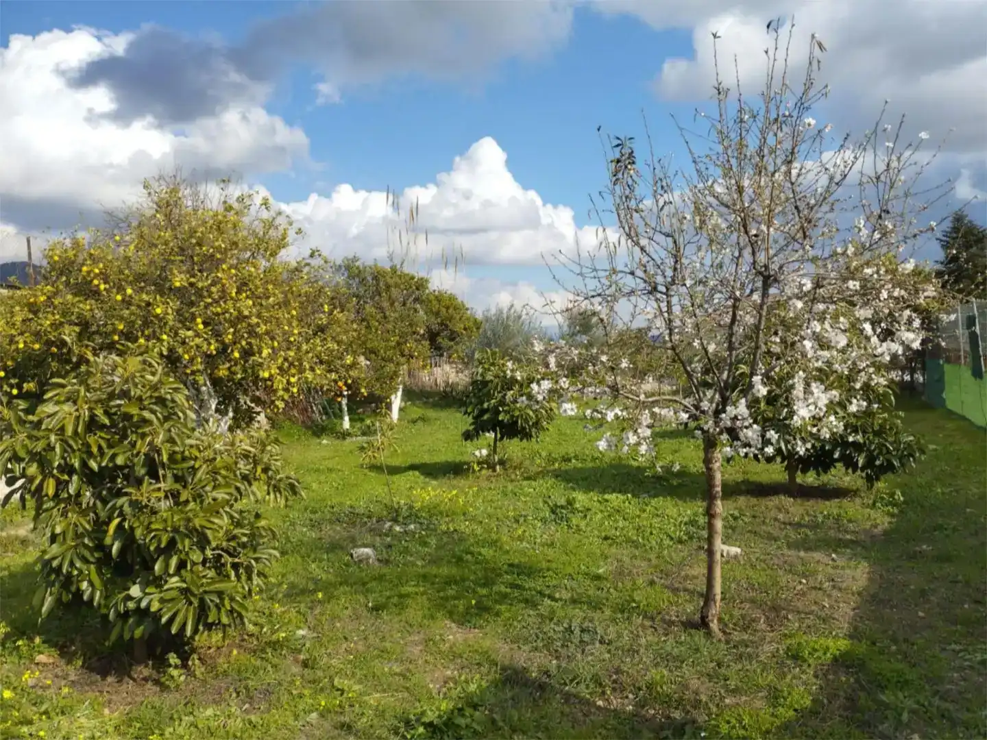 Casa o xalet en venda en Yunquera amb Jardí privat, Traster i Piscina