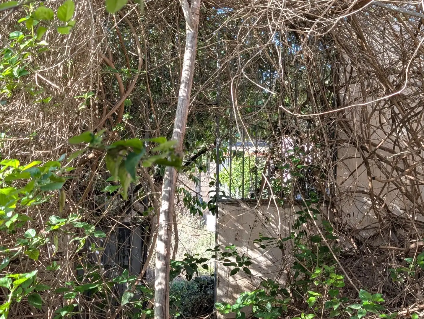 Casa o xalet en venda en Motril amb Terrassa