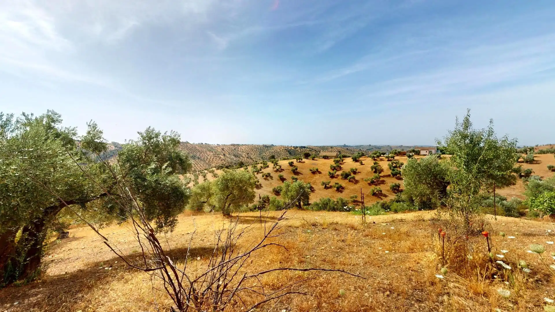 Houses for sale in Montoro  with Private garden and Terrace