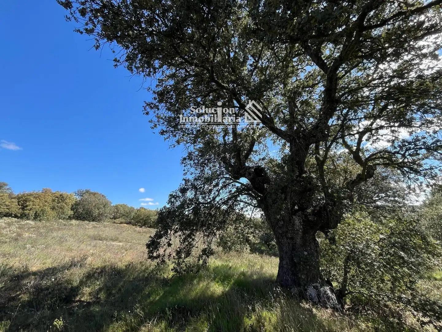 Terreno en venta en Terradillos