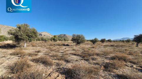 Photo 3 of Industrial land for sale in Campo Alto - Club de Campo, Alicante