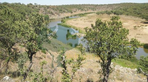 Foto 2 de Finca rústica en venda a Malpartida de Cáceres, Cáceres