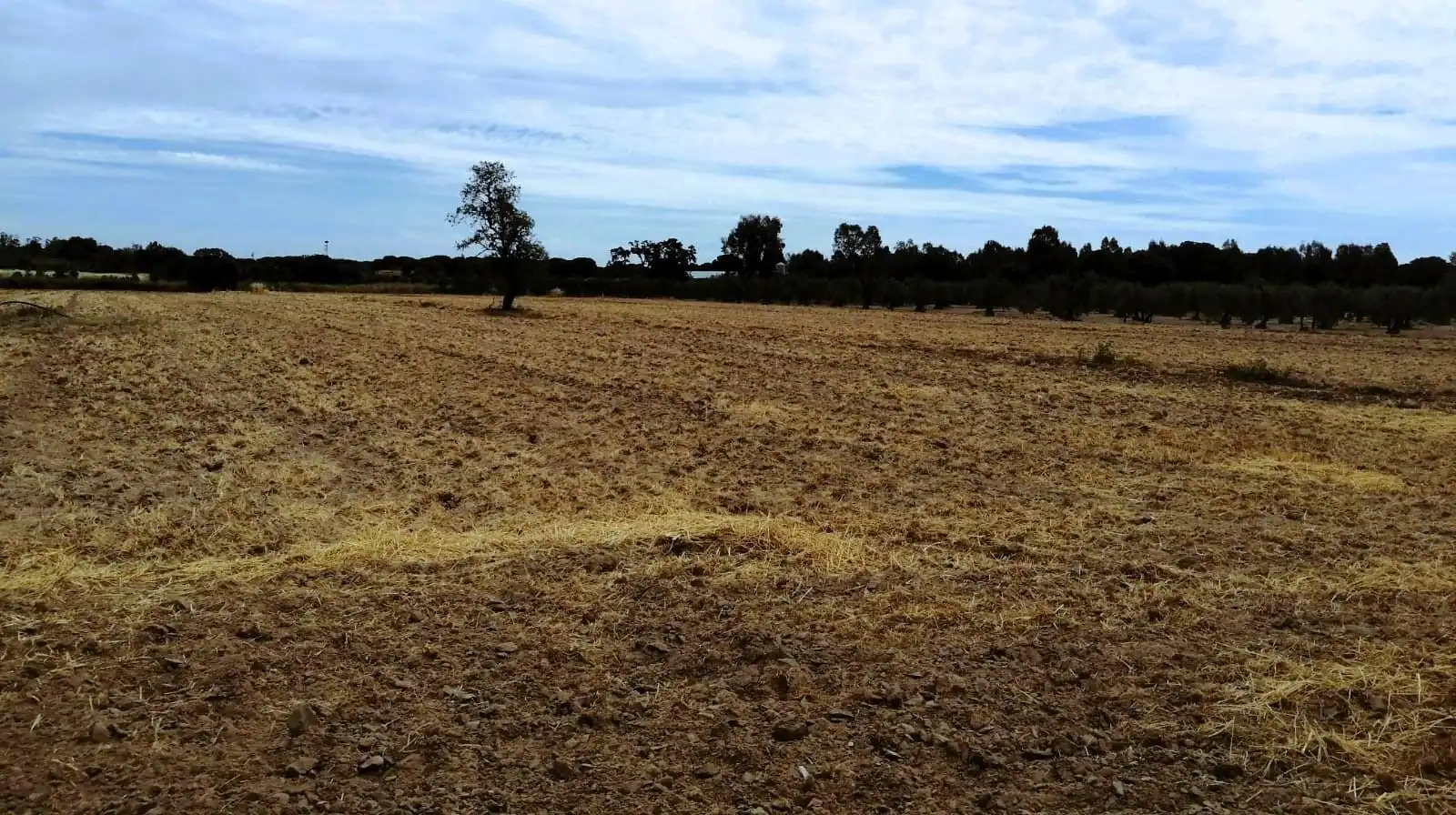Terreno en venta en Villamanrique de la Condesa