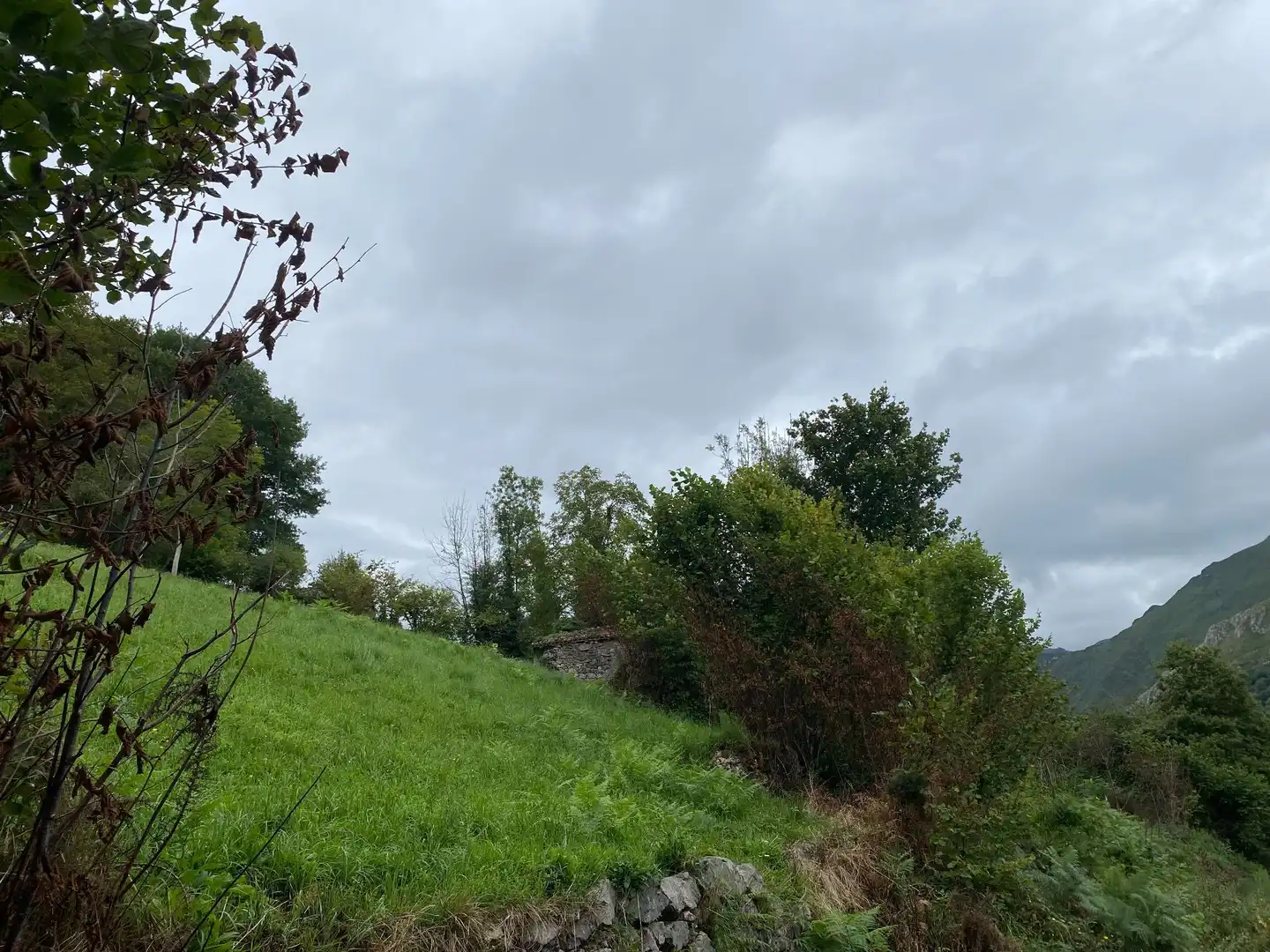 Houses for sale in Gamonedo, Cangas de Onís