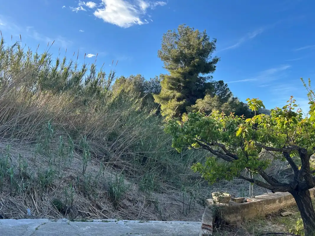 Finca rústica en venda en Oliva amb Moblat