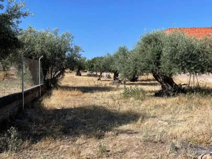 Terreno en venta en Valdefuentes