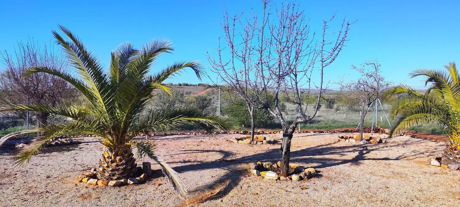 Casa o chalet en venta en La Solana   con Jardín privado, Terraza y Trastero