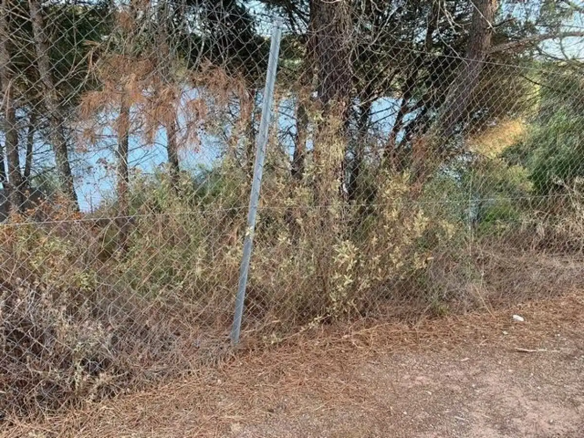Lands and plots for sale in Periurbano Oeste - Sierra, imagen 3