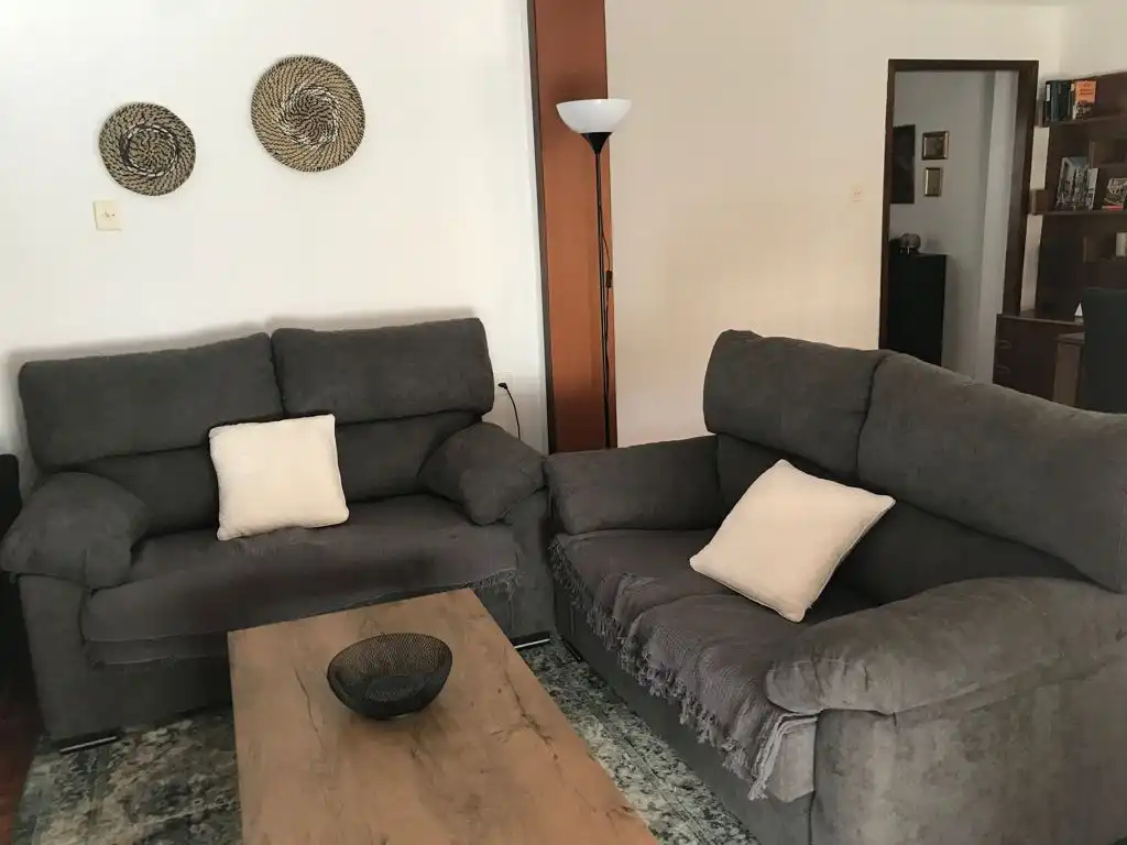 Living room of Flat for rent in Cádiz  with Parquet flooring, Terrace and Furnished