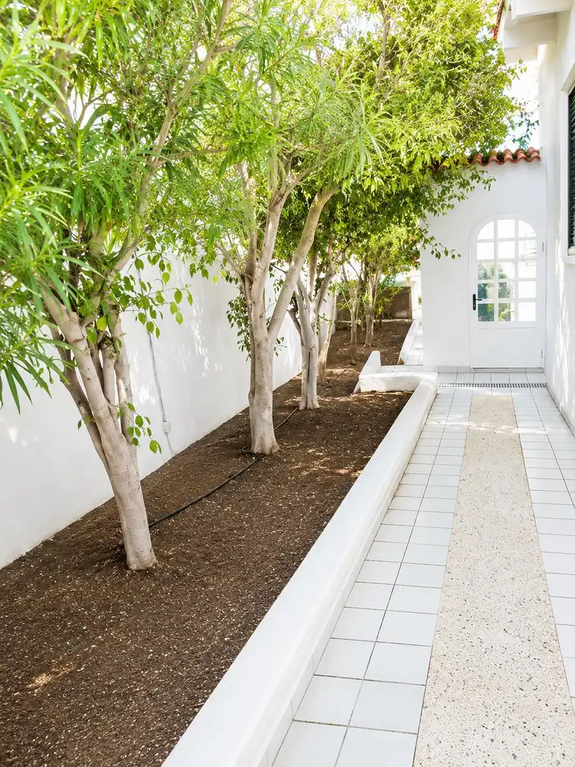 Terraza de Casa o chalet en venta en Pájara con Jardín privado