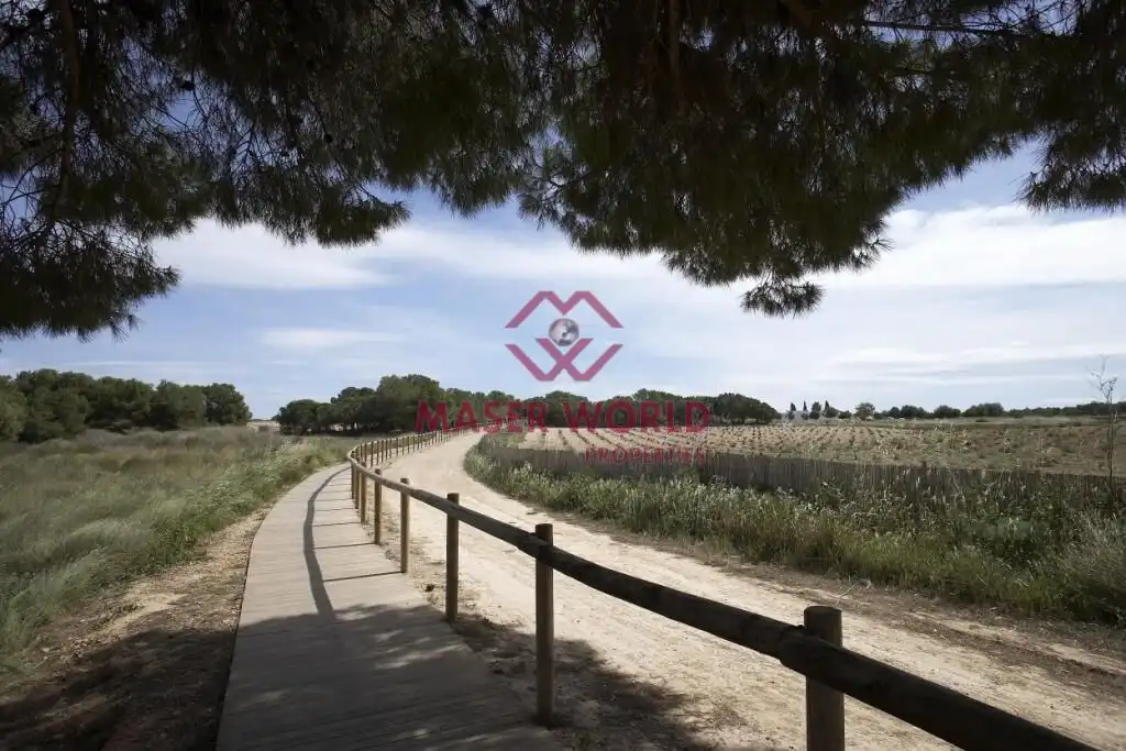 Xalet amb piscina en venda a Nueva Torrevieja - Aguas Nuevas, imagen 9