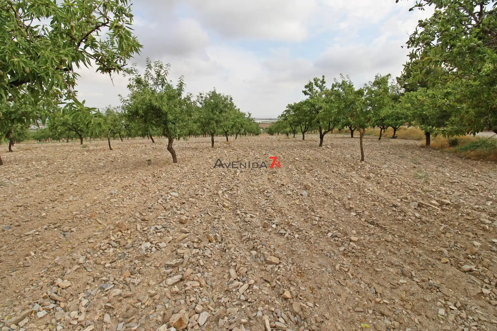 Terrains et parcelles à vendre à Pedanías Sur, imagen 14