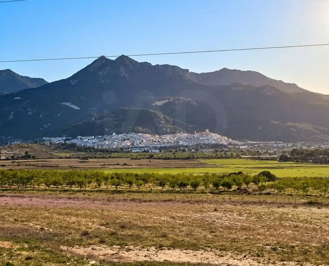 Terreno residenziale in vendita a Moratalla