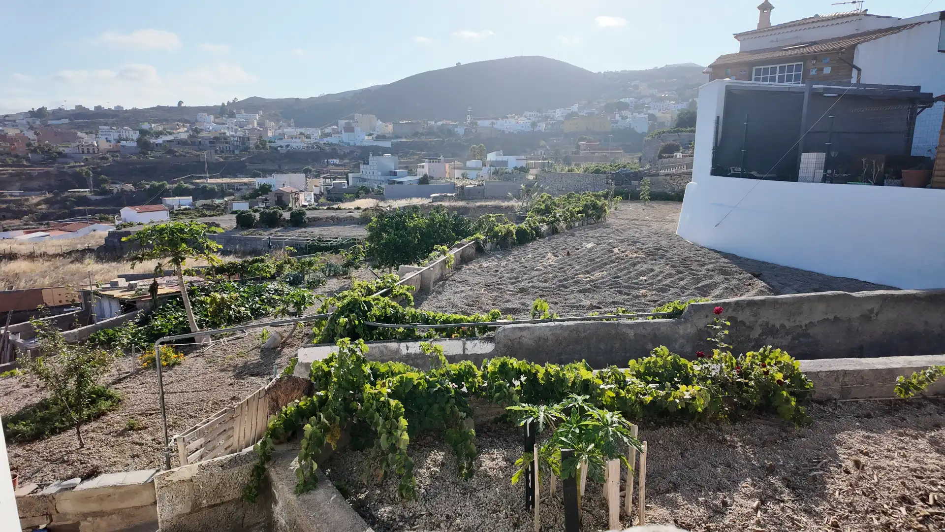 Vista exterior de Casa o chalet en venta en Granadilla de Abona con Terraza y Amueblado