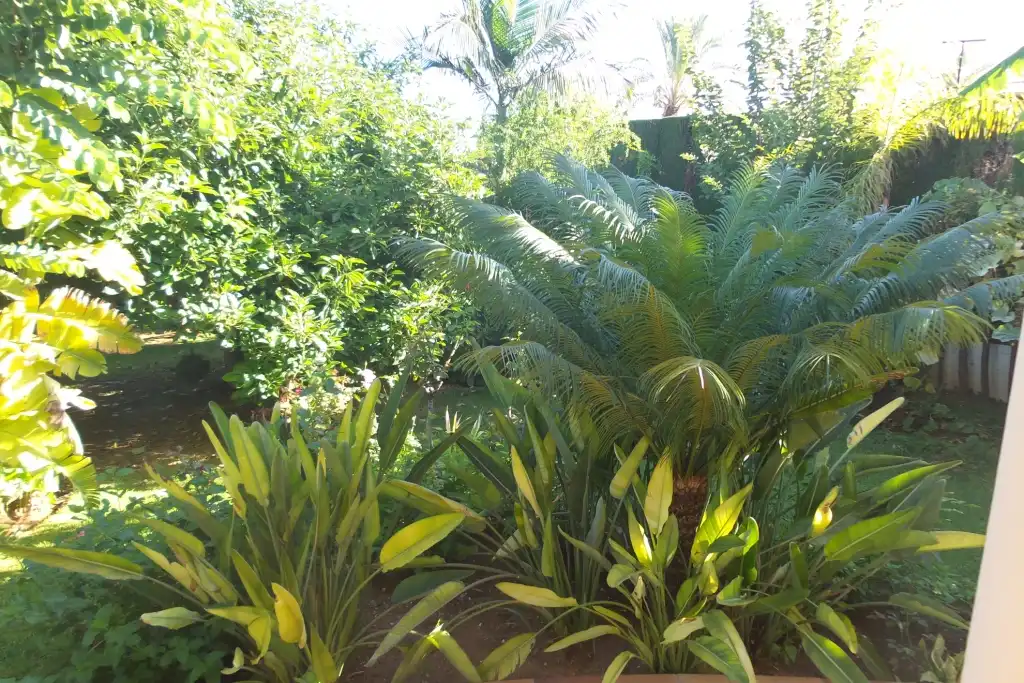 Jardí de Casa o xalet en venda en Alhaurín de la Torre amb Aire condicionat, Jardí privat i Piscina