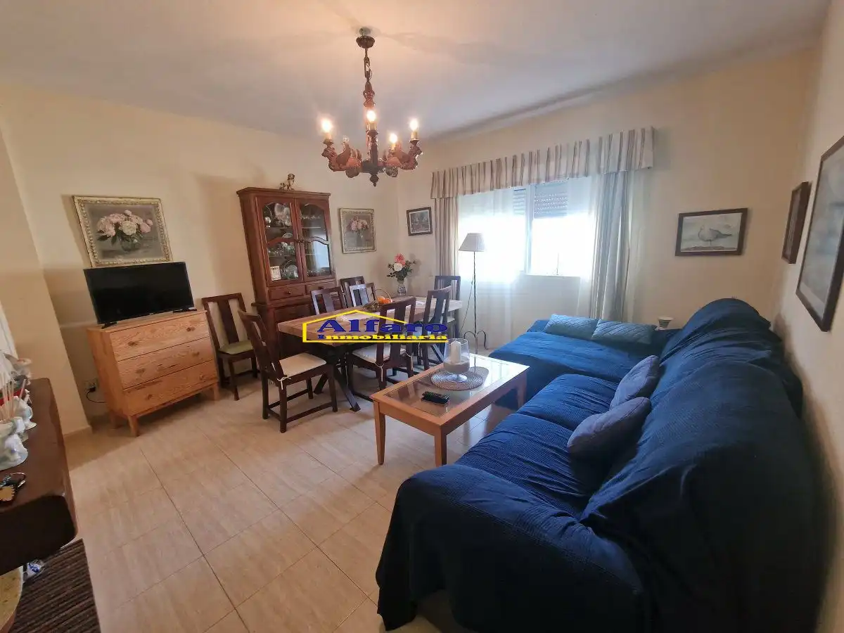 Sala d'estar de Casa o xalet en venda en Almonte amb Jardí privat, Terrassa i Traster