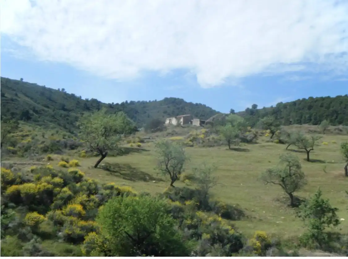 Terreny rústic en venda a Tébar - Los Arejos, imagen 2