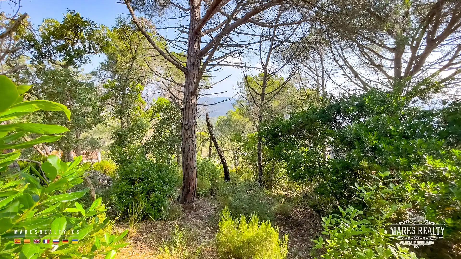 Grundstücke und Bauplätze zum Verkauf in Serra Brava, imagen 10