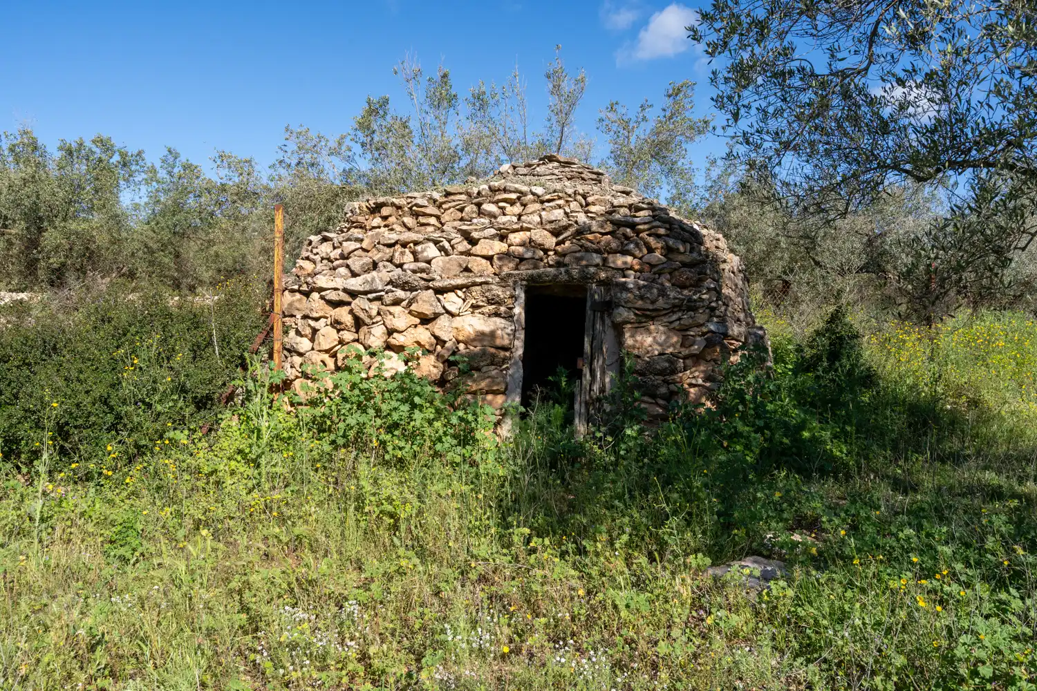 Vista exterior de Terreno en venta en Rossell, Castellón