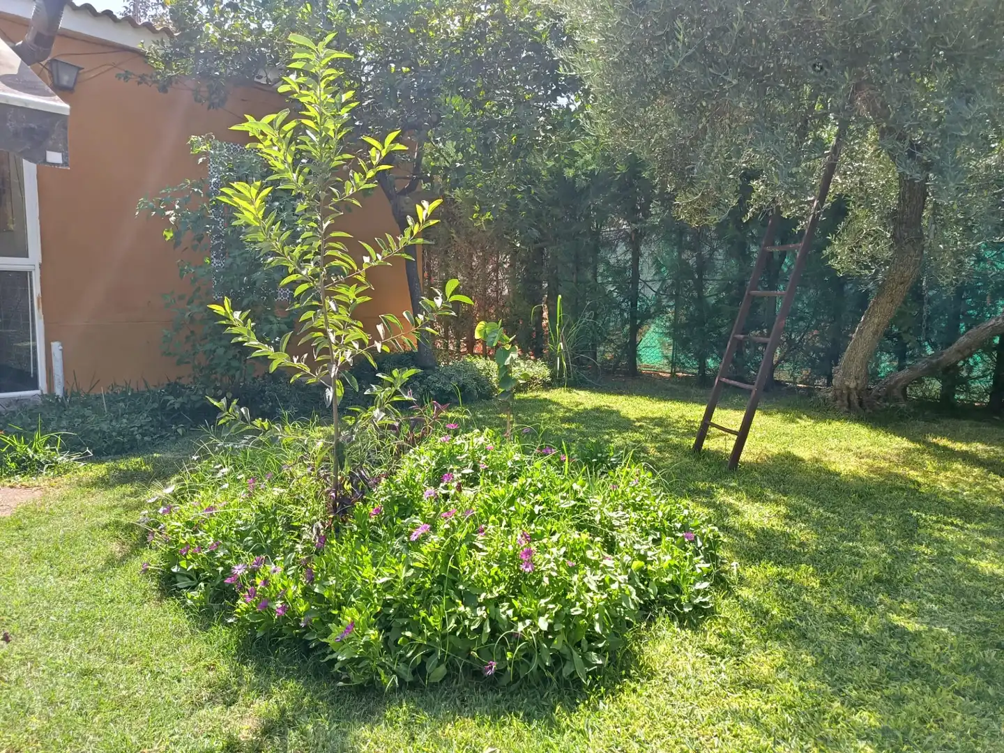 Villa avec piscine à louer à Urbanizacion el Campillo, imagen 63
