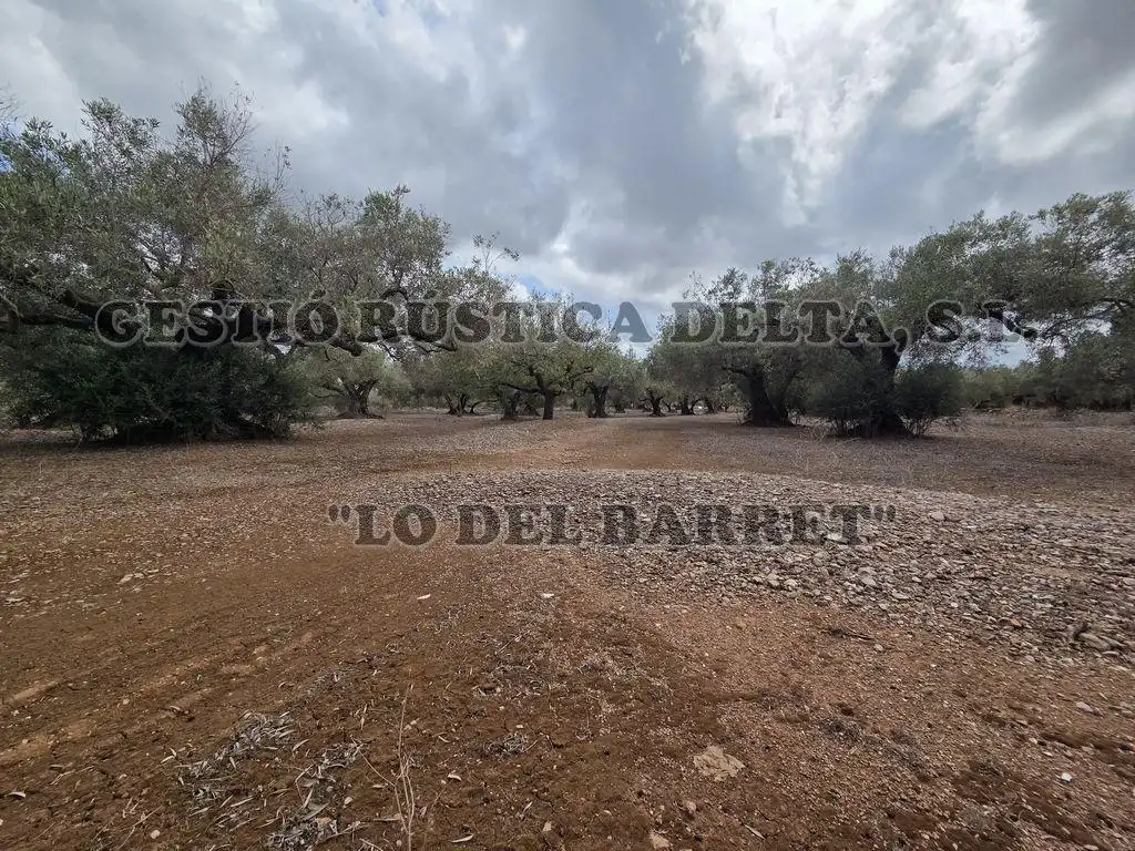 Terreno rústico en venta en Poligono 8, imagen 4