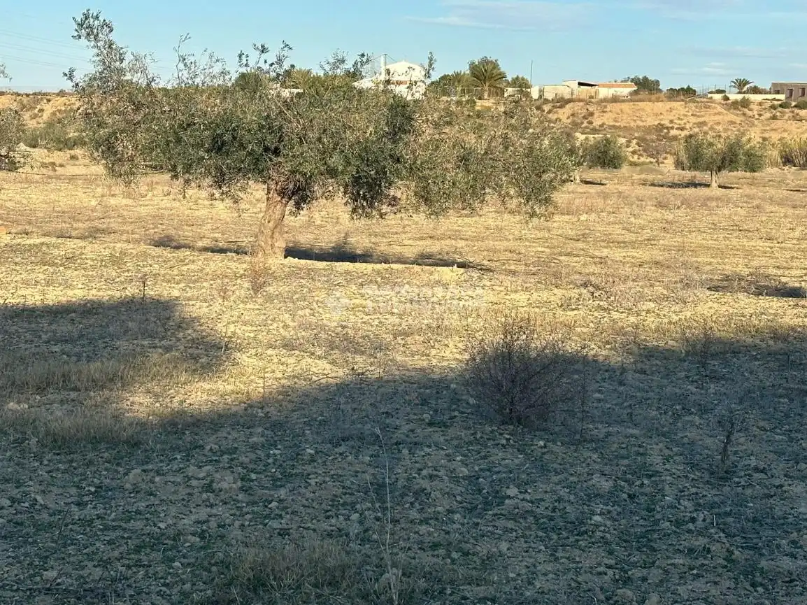Terrenys i solars en venda a Calle Algarraz, imagen 25
