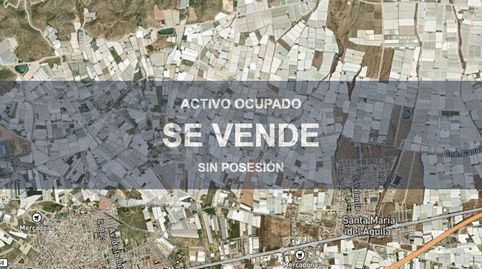 Foto 3 de Piso en venta en Santa María del Águila, El Ejido
