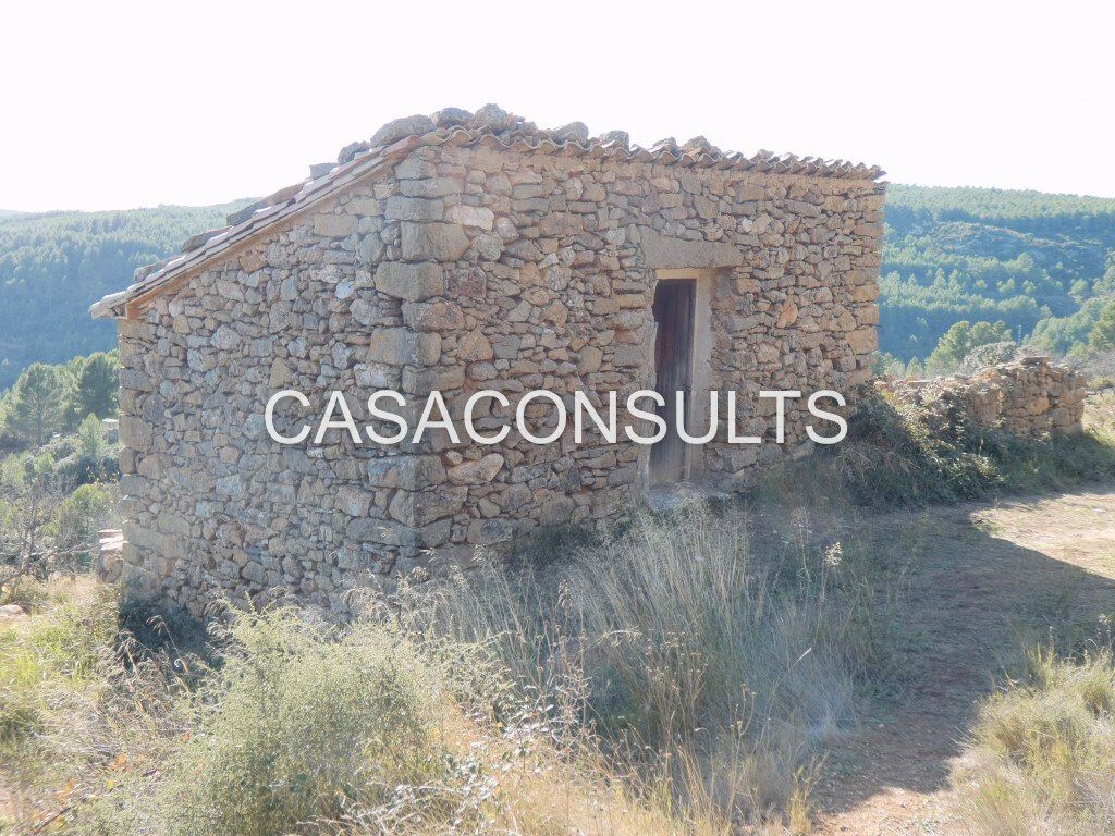 Vista exterior de Finca rústica en venta en Lucena del Cid