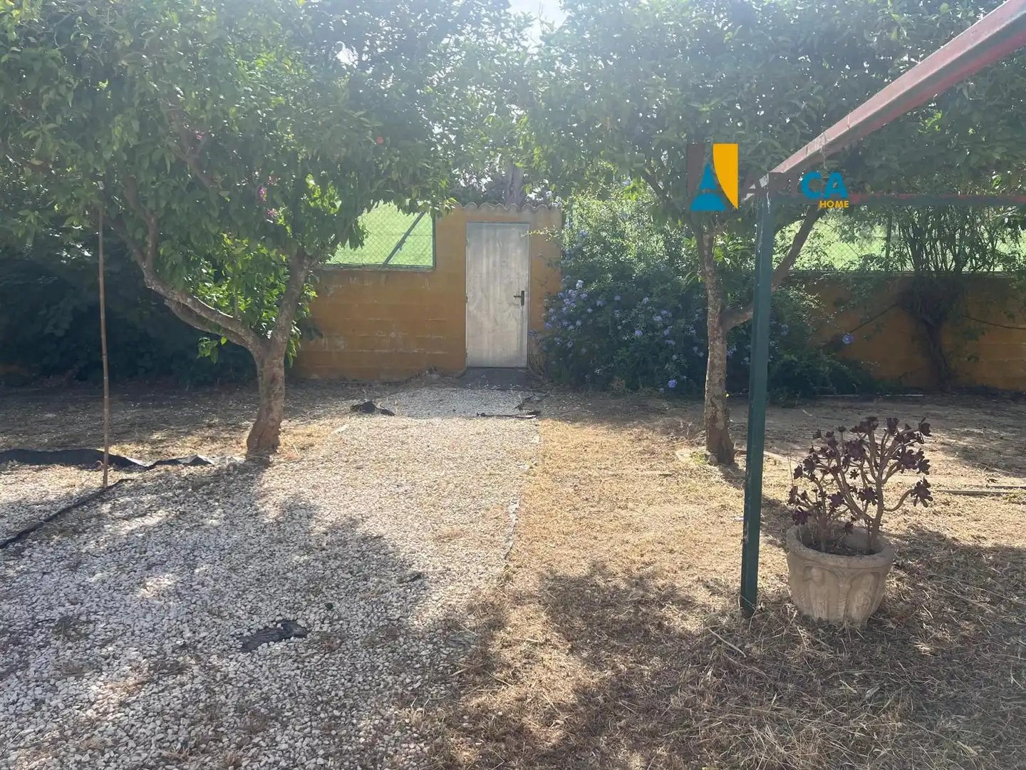 Jardí de Casa o xalet en venda en Conil de la Frontera amb Terrassa, Traster i Piscina