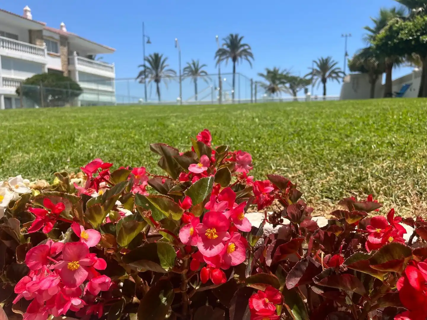 Garden of Ground floor for sale in Torremolinos  with Air Conditioner, Private garden and Terrace