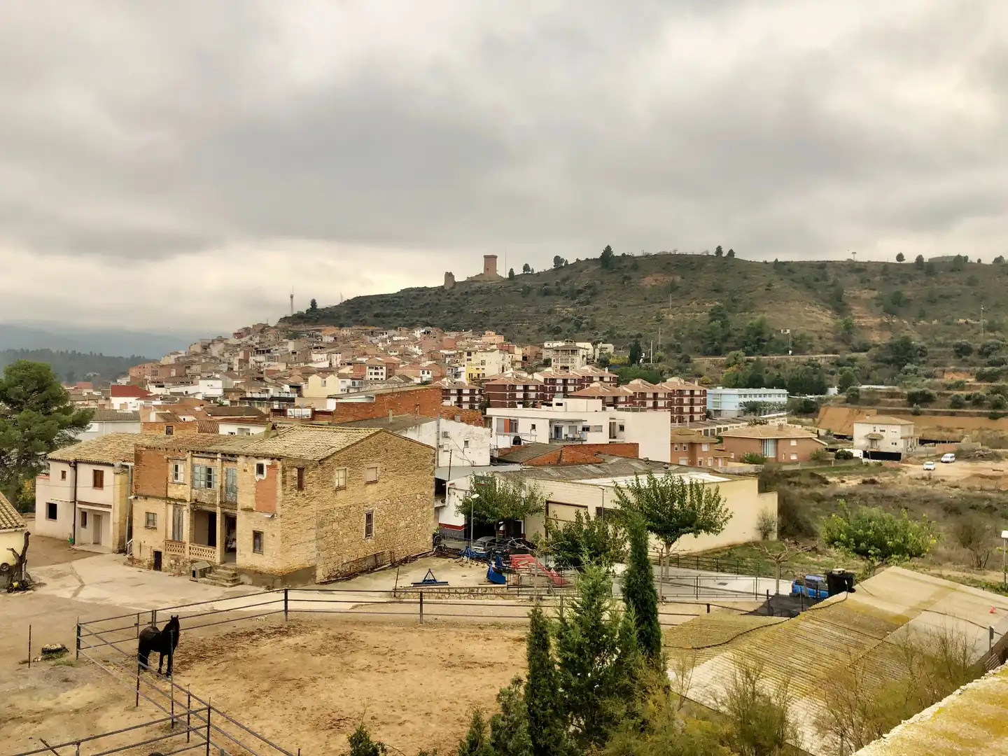 Vista exterior de Casa adosada en venda en Ascó amb Jardí privat, Terrassa i Balcó