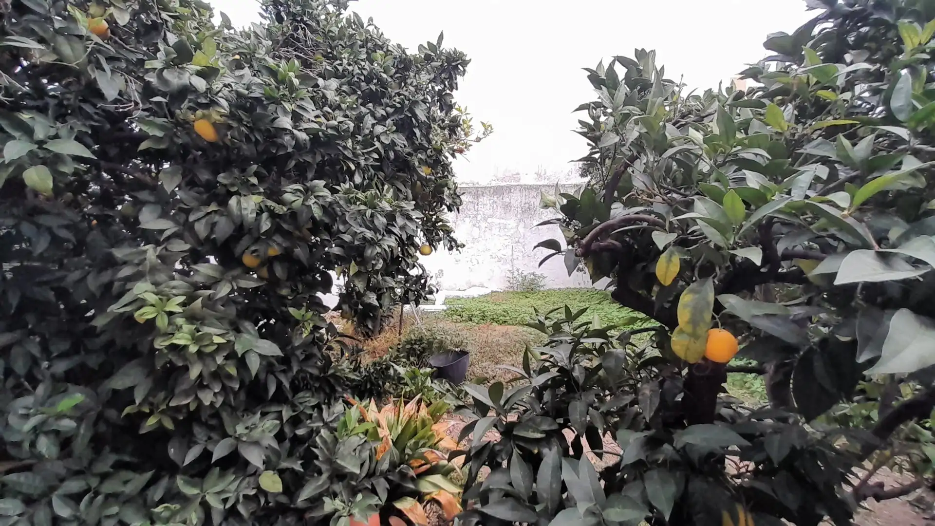 Haus mit Garten zum Verkauf in La Laguna, imagen 29