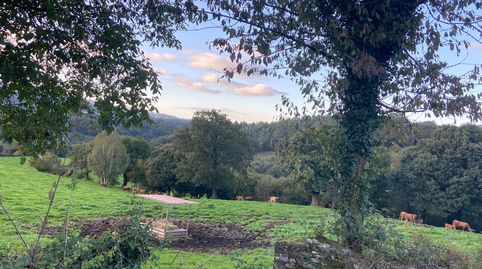 FINCA CERRADA, imatge 5