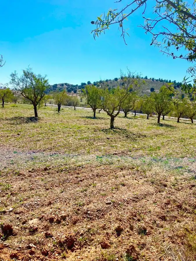 Residential land for sale in Vélez-Rubio, imagen 6