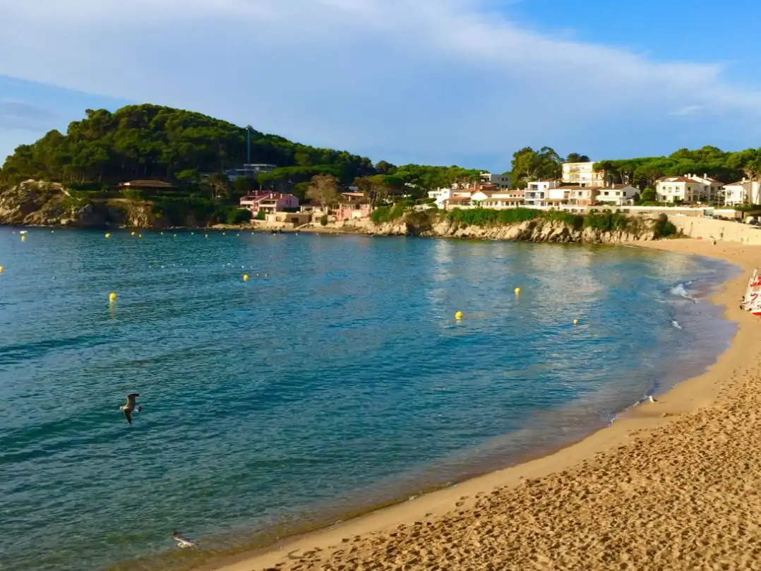 Apartments for rent in Carretera de la Fosca, 45, La Fosca - Cala Margarida
