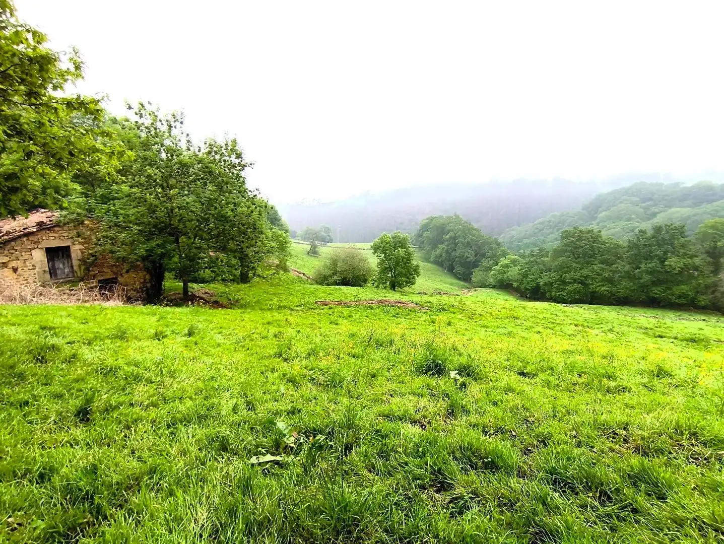 Casa o chalet en venta en Villacarriedo con Jardín privado