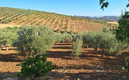 Jardí de Casa o xalet en venda en Casabermeja amb Terrassa