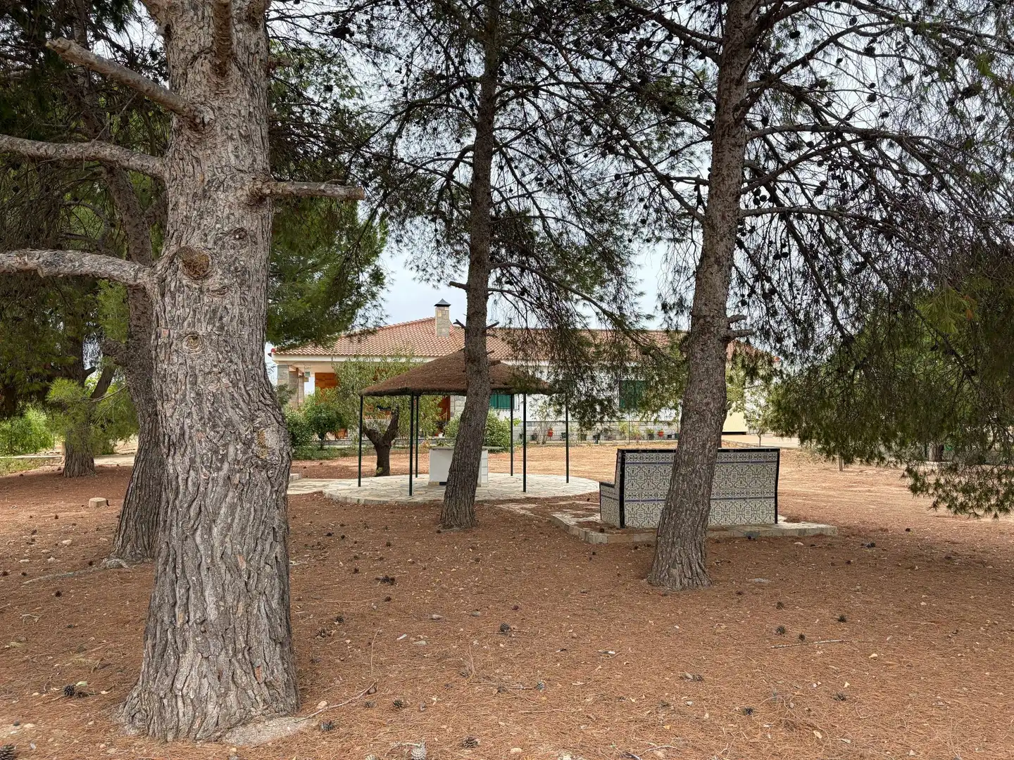 Casa amb jardí en venda a Hacienda del Álamo Golf, imagen 3