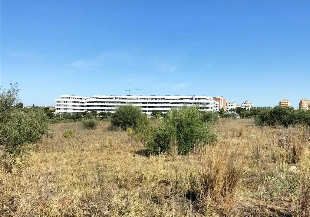 Terreni e lotti in vendita a Carretera de Palomares, imagen 8