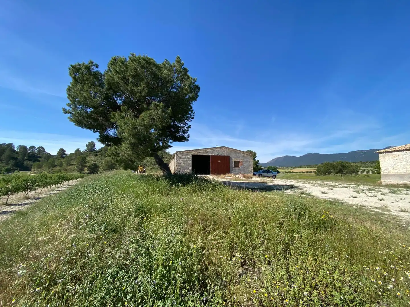 Villa à vendre à Moratalla, imagen 22