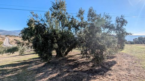 Finca Rúst. en venta en Loja., image 2